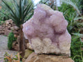 Natural Amethyst Spirit Quartz Cluster x 1 From South Africa - Toprock Gemstones and Minerals 
