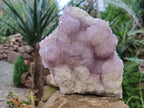 Natural Amethyst Spirit Quartz Cluster x 1 From South Africa - Toprock Gemstones and Minerals 