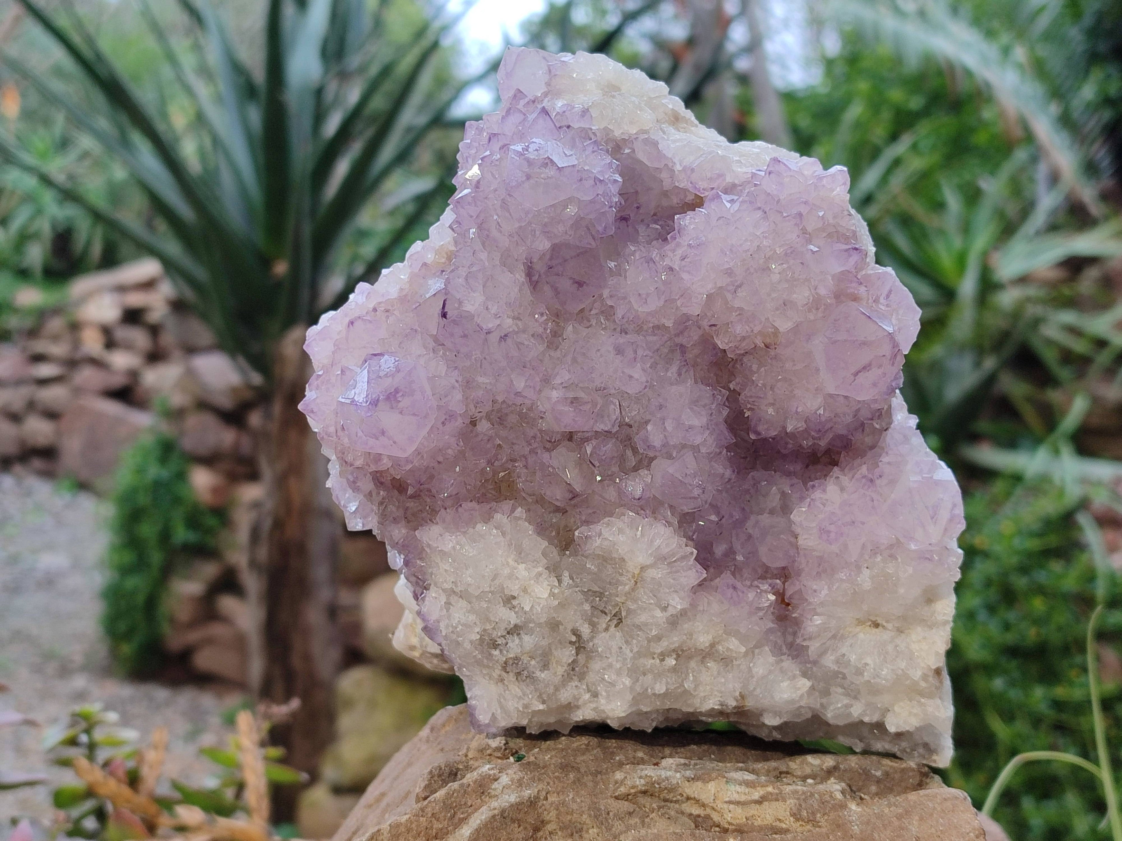 Natural Amethyst Spirit Quartz Cluster x 1 From South Africa - Toprock Gemstones and Minerals 