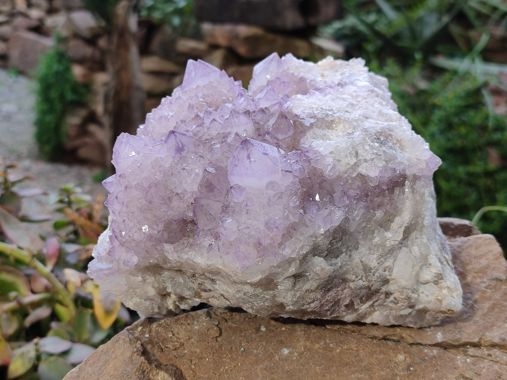 Natural Amethyst Spirit Quartz Cluster x 1 From South Africa - Toprock Gemstones and Minerals 