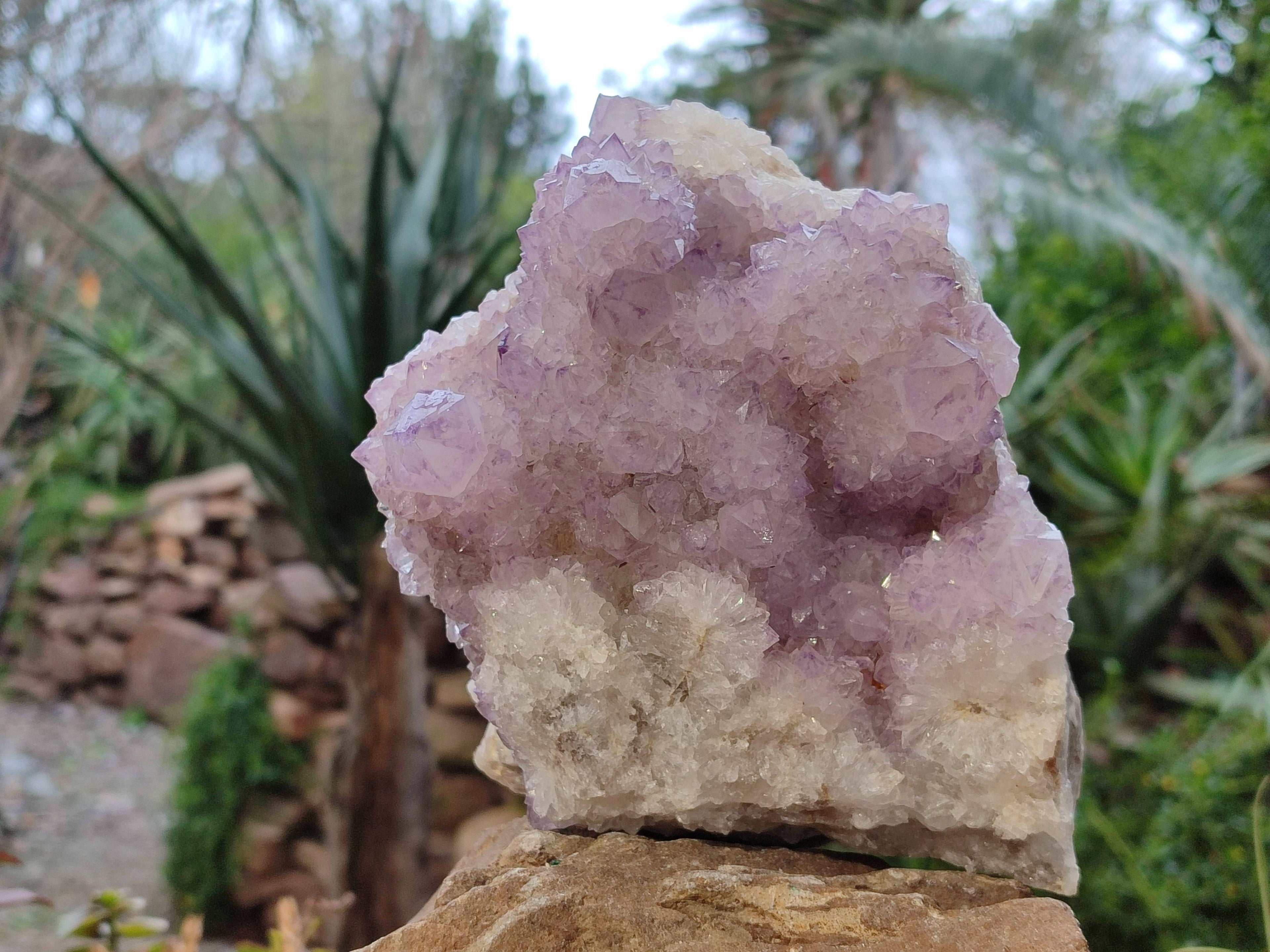Natural Amethyst Spirit Quartz Cluster x 1 From South Africa - Toprock Gemstones and Minerals 