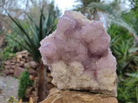Natural Amethyst Spirit Quartz Cluster x 1 From South Africa
