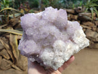 Natural Amethyst Spirit Quartz Cluster x 1 From South Africa - Toprock Gemstones and Minerals 