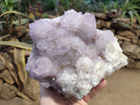 Natural Amethyst Spirit Quartz Cluster x 1 From South Africa