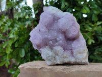 Natural Amethyst Spirit Quartz Cluster x 1 From South Africa