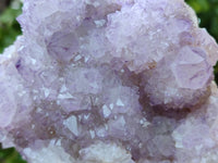 Natural Amethyst Spirit Quartz Cluster x 1 From South Africa