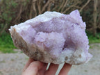 Natural Amethyst Spirit Quartz Cluster x 1 From South Africa - Toprock Gemstones and Minerals 