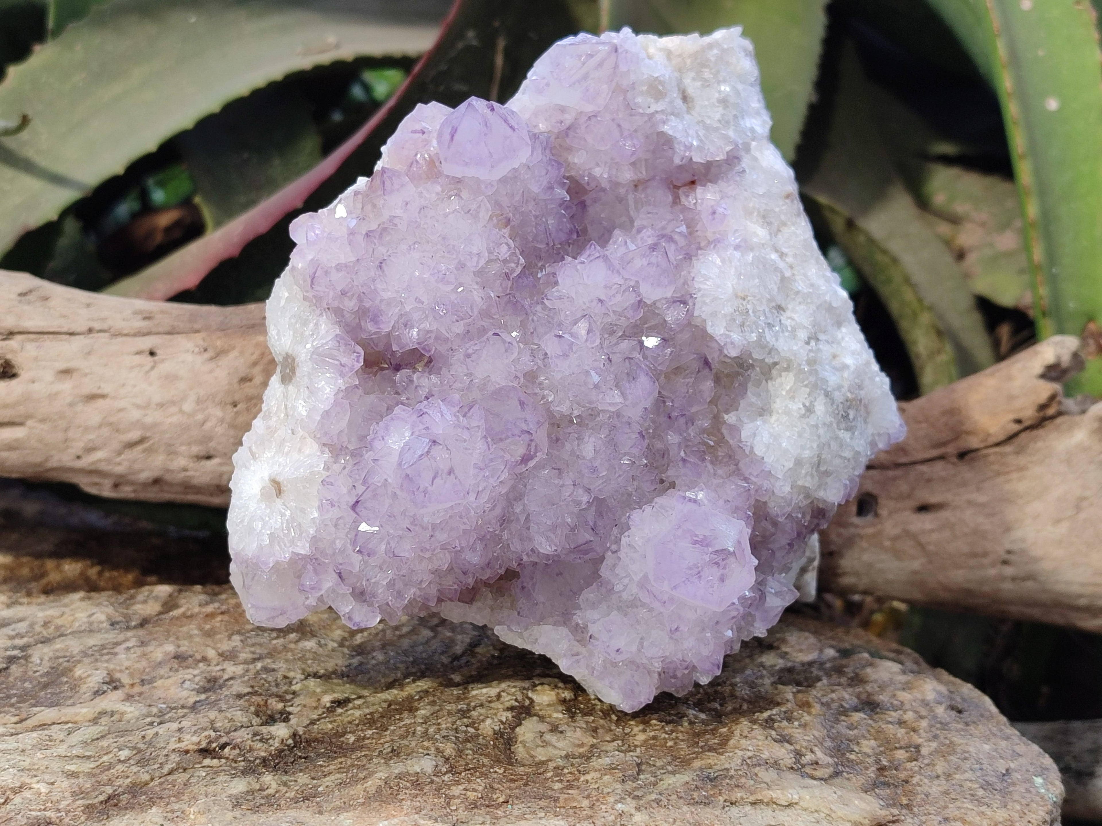 Natural Amethyst Spirit Quartz Cluster x 1 From South Africa - Toprock Gemstones and Minerals 