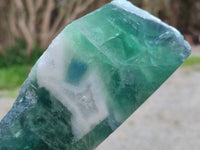 Polished On One Side Watermelon Fluorite x 2 From Uis, Namibia - Toprock Gemstones and Minerals 
