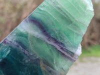 Polished On One Side Watermelon Fluorite x 2 From Uis, Namibia - Toprock Gemstones and Minerals 