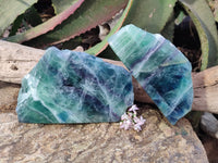 Polished On One Side Watermelon Fluorite x 2 From Uis, Namibia - Toprock Gemstones and Minerals 