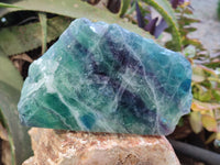 Polished On One Side Watermelon Fluorite x 2 From Uis, Namibia - Toprock Gemstones and Minerals 