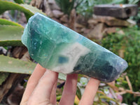 Polished On One Side Watermelon Fluorite x 2 From Uis, Namibia - Toprock Gemstones and Minerals 
