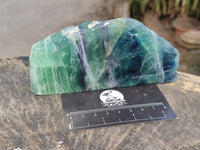 Polished On One Side Watermelon Fluorite x 2 From Uis, Namibia - Toprock Gemstones and Minerals 