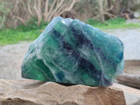 Polished On One Side Watermelon Fluorite x 2 From Uis, Namibia - Toprock Gemstones and Minerals 