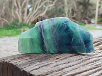 Polished On One Side Watermelon Fluorite x 2 From Uis, Namibia - Toprock Gemstones and Minerals 