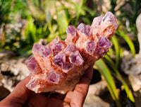 Natural Sugar Amethyst Quartz Clusters x 4 from Solwezi, Zambia