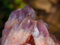 Natural Sugar Amethyst Quartz Clusters x 4 from Solwezi, Zambia