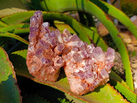 Natural Sugar Amethyst Quartz Clusters x 4 from Solwezi, Zambia