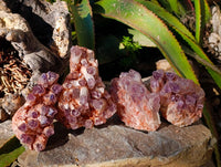 Natural Sugar Amethyst Quartz Clusters x 4 from Solwezi, Zambia