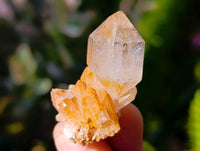 Natural Smokey Amethyst Quartz Crystals x 97 From Brandberg, Namibia