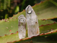 Natural Smokey Amethyst Quartz Crystals x 97 From Brandberg, Namibia