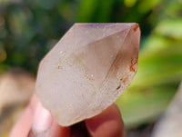 Natural Smokey Amethyst Quartz Crystals x 97 From Brandberg, Namibia