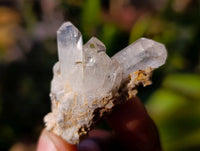 Natural Smokey Amethyst Quartz Crystals x 97 From Brandberg, Namibia