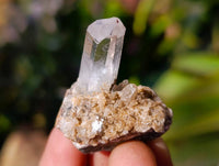 Natural Smokey Amethyst Quartz Crystals x 97 From Brandberg, Namibia