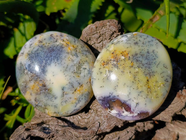 Polished Dendritic Opal Palm Stones x 6 From Moralambo, Madagascar