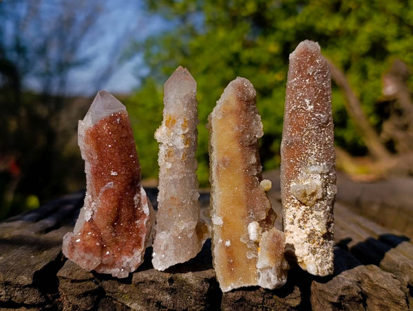 Natural Limonite Coated Fairy Spirit Quartz Clusters x 24 From South Africa