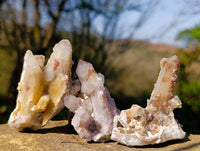 Natural Limonite Coated Fairy Spirit Quartz Clusters x 24 From South Africa