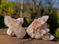 Natural Limonite Coated Fairy Spirit Quartz Clusters x 24 From South Africa