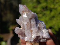 Natural Limonite Coated Fairy Spirit Quartz Clusters x 24 From South Africa
