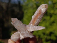 Natural Limonite Coated Fairy Spirit Quartz Clusters x 24 From South Africa