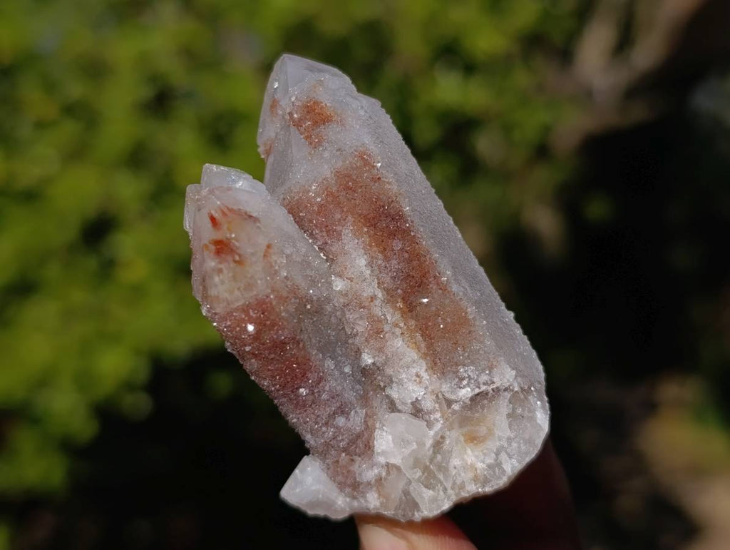 Natural Limonite Coated Fairy Spirit Quartz Clusters x 24 From South Africa - Toprock Gemstones and Minerals 