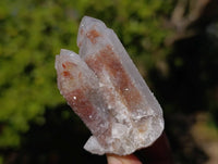 Natural Limonite Coated Fairy Spirit Quartz Clusters x 24 From South Africa