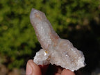 Natural Limonite Coated Fairy Spirit Quartz Clusters x 24 From South Africa - Toprock Gemstones and Minerals 