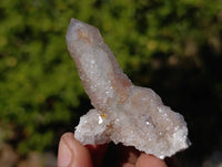 Natural Limonite Coated Fairy Spirit Quartz Clusters x 24 From South Africa