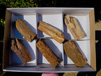 Polished On One Side Petrified Wood x 6 From Gokwe, Zimbabwe - Toprock Gemstones and Minerals 