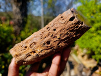 Polished On One Side Petrified Wood x 6 From Gokwe, Zimbabwe - Toprock Gemstones and Minerals 