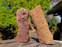 Polished On One Side Petrified Wood x 6 From Gokwe, Zimbabwe - Toprock Gemstones and Minerals 