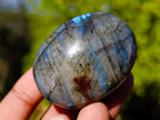 Polished Labradorite Palm Stones x 20 From Tulear, Madagascar - Toprock Gemstones and Minerals 