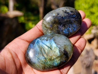 Polished Labradorite Palm Stones x 20 From Tulear, Madagascar - Toprock Gemstones and Minerals 