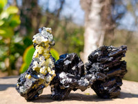 Natural Schorl Black Tourmaline Specimens x 12 From Namibia