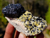 Natural Schorl Black Tourmaline Specimens x 12 From Namibia
