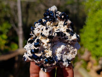 Natural Schorl Black Tourmaline Specimens x 12 From Namibia