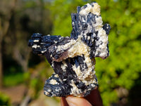 Natural Schorl Black Tourmaline Specimens x 12 From Namibia