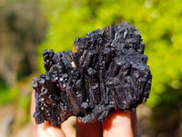 Natural Schorl Black Tourmaline Specimens x 12 From Namibia