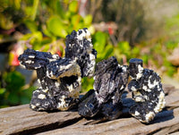 Natural Schorl Black Tourmaline Specimens x 12 From Namibia